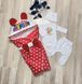 Комплект на выписку (конверт и костюмчик) Весенне-Летний КЛ111 2991 фото 1