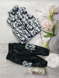 Набір штани з жилеткою дитячі демісезонні Look Dior Mikey 80-86 см КБ КТ175 фото