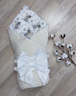 Конвертдля новонародженних на виписку демісезонний ЛР020 1766 фото